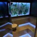 安格霍夫u温奈斯健身酒店 4*